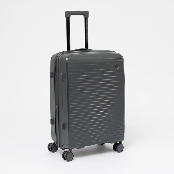 Чемодан на колесах Francesco Molinary 344-PP31/2-24DGR