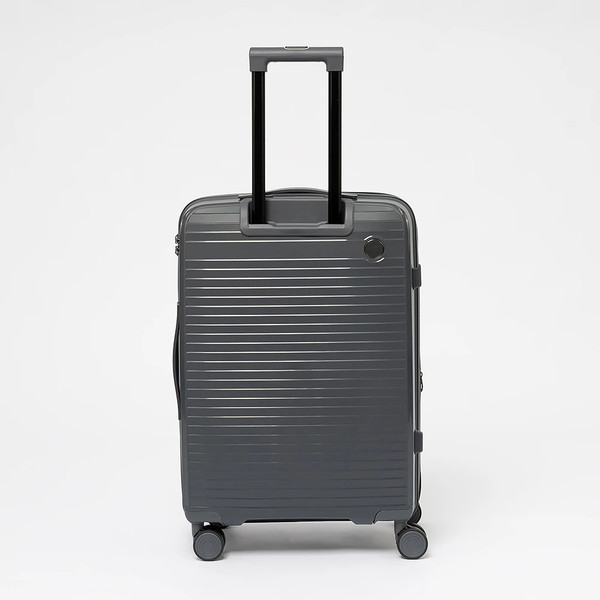 Чемодан на колесах Francesco Molinary 344-PP31/2-24DGR