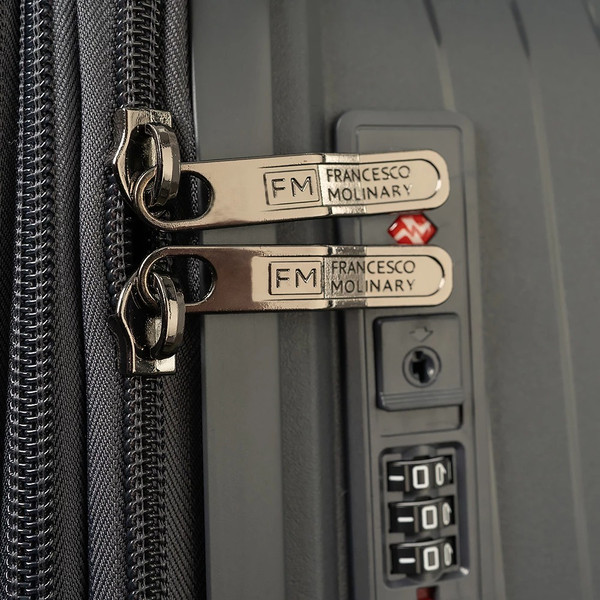 Чемодан на колесах Francesco Molinary 344-PP31/2-24DGR