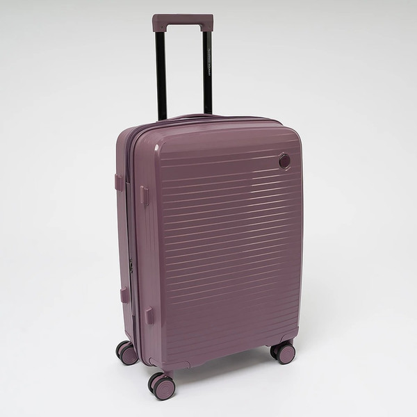 Чемодан на колесах Francesco Molinary 344-PP31/2-24VLT