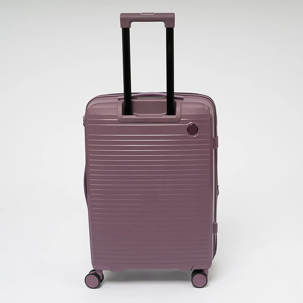 Чемодан на колесах Francesco Molinary 344-PP31/2-24VLT