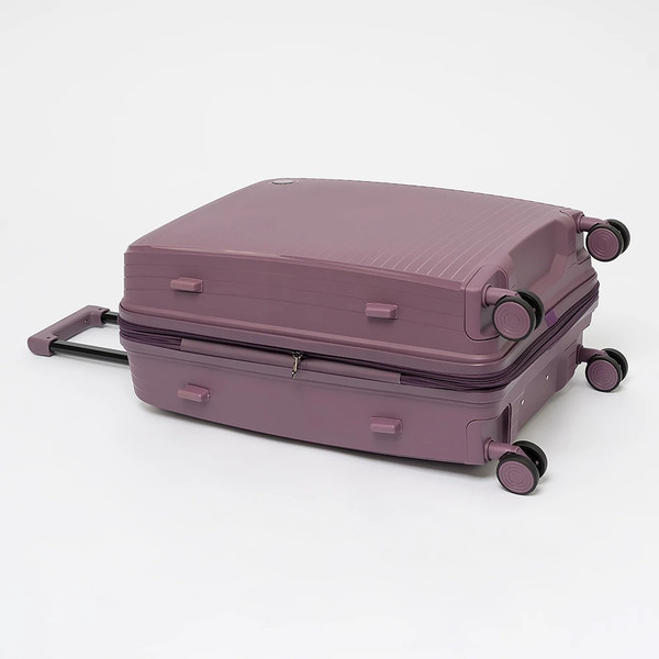 Чемодан на колесах Francesco Molinary 344-PP31/2-24VLT