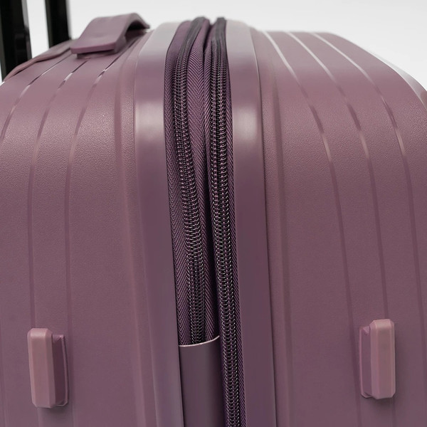 Чемодан на колесах Francesco Molinary 344-PP31/2-24VLT