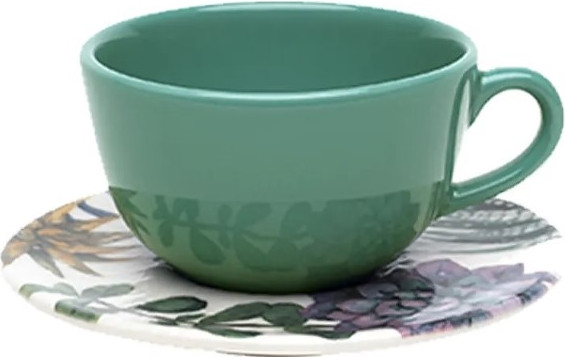 Чашка с блюдцем Oxford Bothanica 092839 AY04-5606 - фото