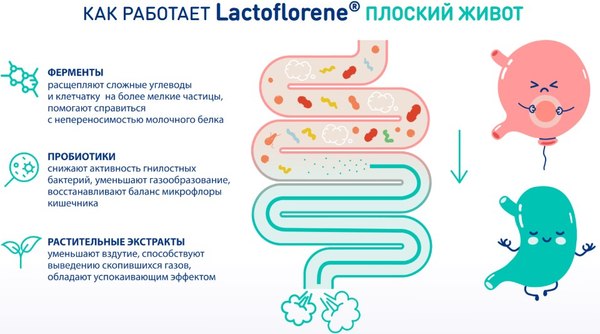 Комплексная пищевая добавка Lactoflorene Плоский живот