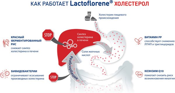 Комплексная пищевая добавка Lactoflorene Холестерол