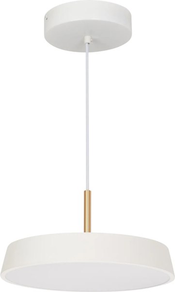 Потолочный светильник Arlight SP-ELEGANT-R300-17W Day4000 WH 120deg / 033919 - фото