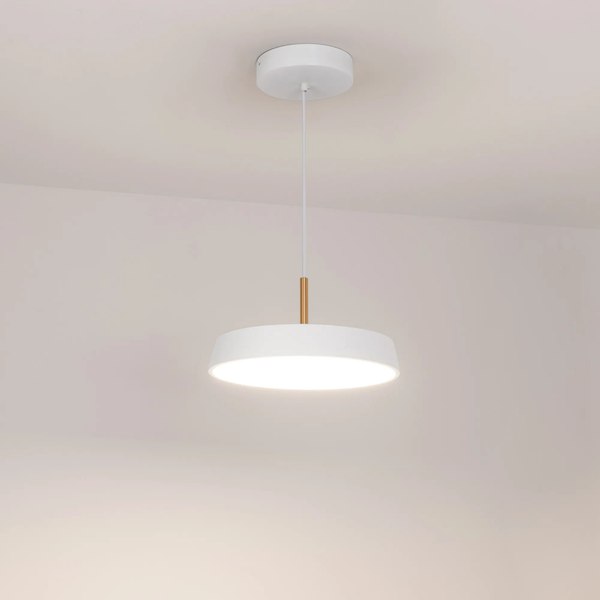 Потолочный светильник Arlight SP-ELEGANT-R300-17W Day4000 WH 120deg / 033919