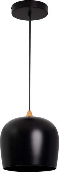 Потолочный светильник Arlight SP-PEONY-HANG-R250-15W Warm3000 BK 65deg / 039550 - фото