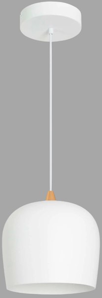 Потолочный светильник Arlight SP-PEONY-HANG-R250-15W Warm3000 WH 65deg / 039548 - фото