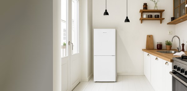 Холодильник с морозильником TECHNO DD2-27