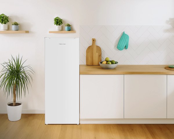 Холодильник с морозильником TECHNO DF1-20N