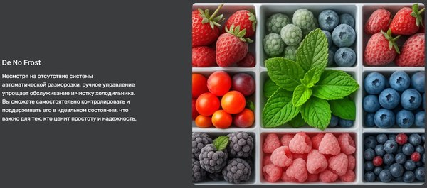 Холодильник с морозильником TECHNO DF1-20N