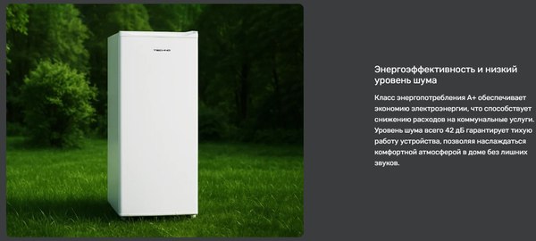 Холодильник с морозильником TECHNO DF1-20N