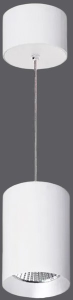 Потолочный светильник Arlight SP-POLO-R85-2-15W Day White 40deg White White Ring / 022948 - фото