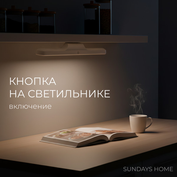 Светильник Sundays Home LED KM24119-2