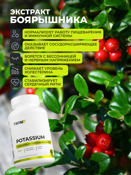 Пищевая добавка 1WIN Калий, магний и экстракт боярышника