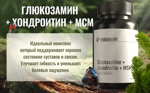 Комплексная пищевая добавка Progarmony Глюкозамин Хондроитин MSM