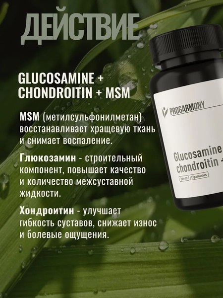 Комплексная пищевая добавка Progarmony Глюкозамин Хондроитин MSM
