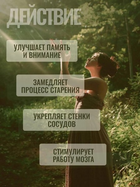 Комплексная пищевая добавка Progarmony Гинкго билоба с витамином С