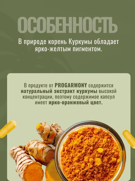 Пищевая добавка Progarmony Куркумин и пиперин