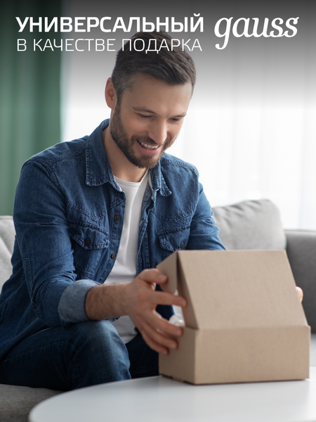 Фонарь Gauss GFL409 / GF409