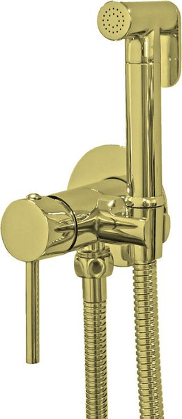 Гигиенический душ со смесителем MVL 26010-GL - фото