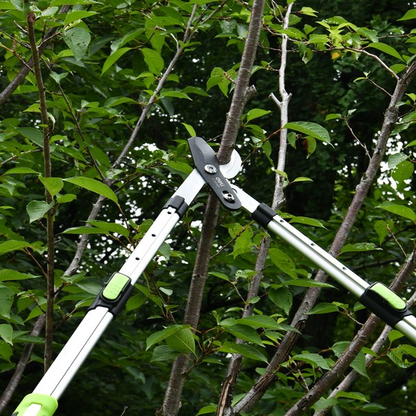 Сучкорез механический Deli EDL580423 (черный/зеленый)