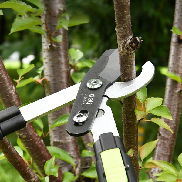 Сучкорез механический Deli EDL580423 (черный/зеленый)