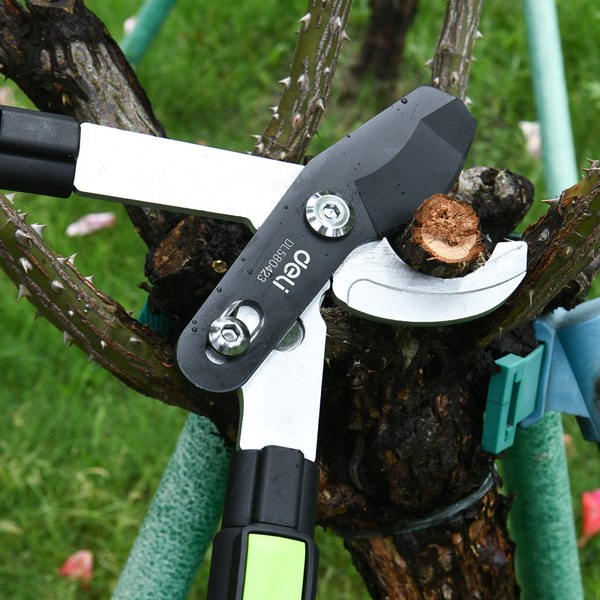 Сучкорез механический Deli EDL580423 (черный/зеленый)