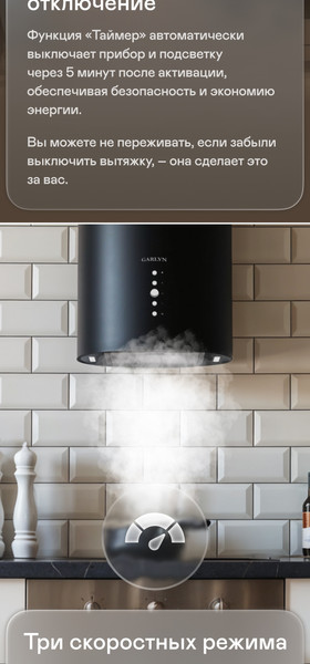 Вытяжка коробчатая Garlyn CH-100