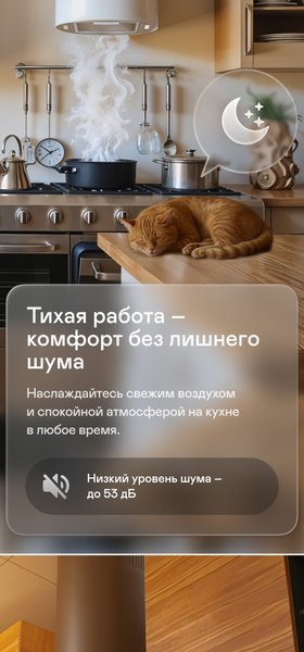 Вытяжка коробчатая Garlyn CH-110