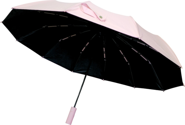 Зонт складной Ame Yoke ОК55-12DR