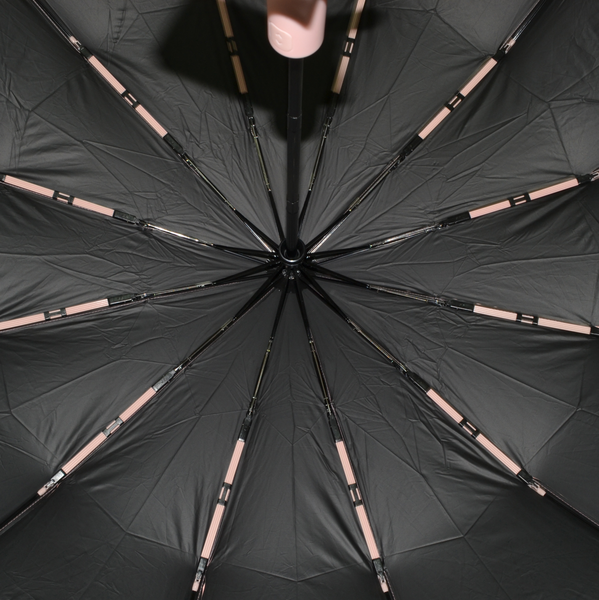 Зонт складной Ame Yoke ОК55-12DR