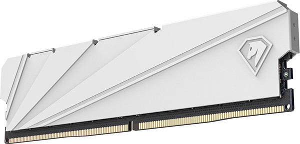 Оперативная память DDR4 Netac NTSSD4P32SP-16W