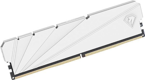 Оперативная память DDR4 Netac NTSSD4P32SP-16W