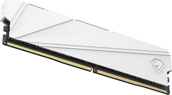 Оперативная память DDR4 Netac NTSSD4P32SP-16W