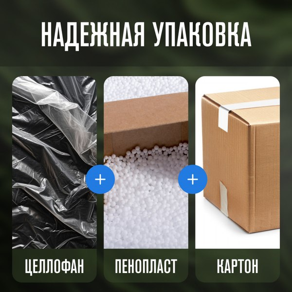 Автохолодильник Alpicool Alpicool NL40 (12/24) c адаптером GVE 12/24/115/230V