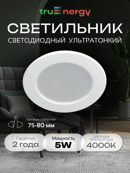 Точечный светильник Truenergy 10080