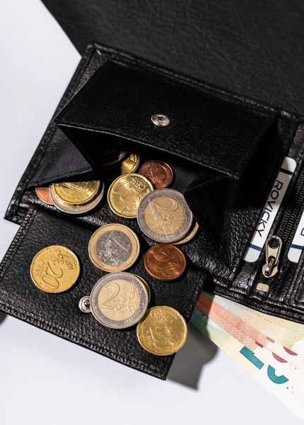 Портмоне Cedar Rovicky R-N992-PDM