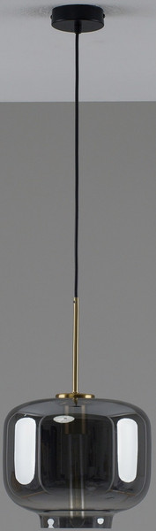 Потолочный светильник Moderli Teen / V11533-1P - фото