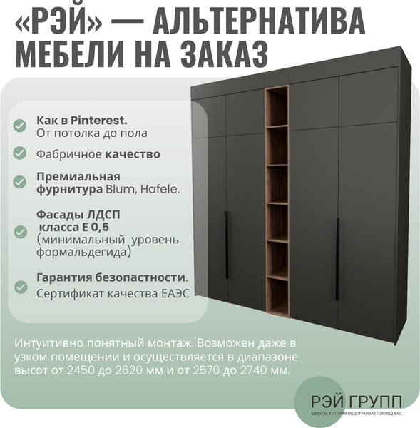 Шкаф Рэйгрупп Рэй S245-В7-1-EBZ В7-1