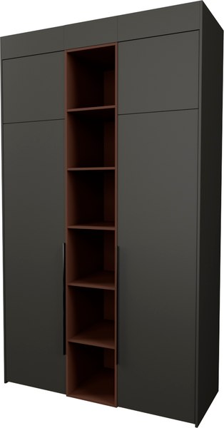 Шкаф Рэйгрупп Рэй S257-В5-WKL В5 - фото