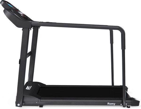 Электрическая беговая дорожка DFC Romy T195