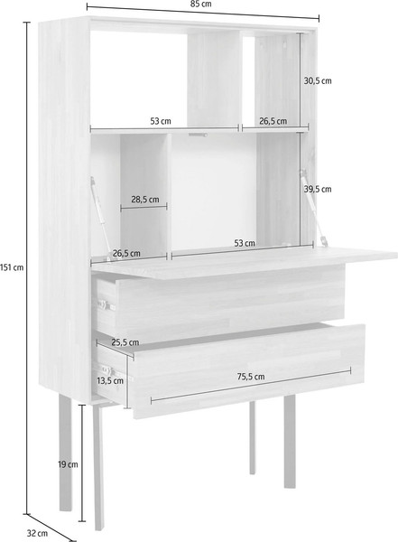 Тумба Dipriz Viby 850х1507H 2 ящ 1дверь / Д.20017.1