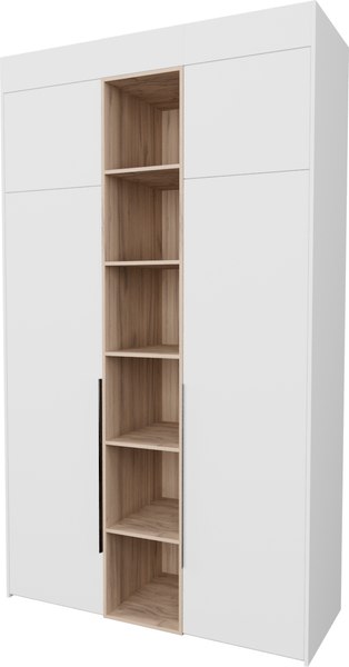 Шкаф Рэйгрупп Рэй S257-В5-EBЕ В5 - фото