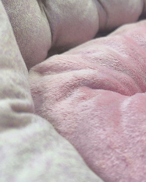 Лежанка для животных Happy Friends Розовая Пантера / stm 834