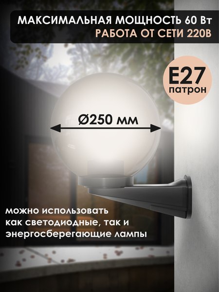 Бра уличное Дабер НБУ 01-60-25хДЧ