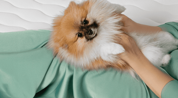 Матрас Natura Vera Limoni 120x190