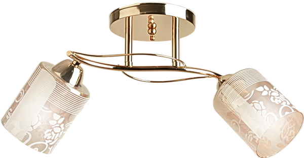 Потолочный светильник Aitin-Pro НПБ 02-2x60-101 / 8197/2A